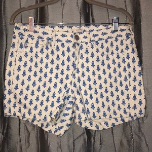 J Crew Shorts